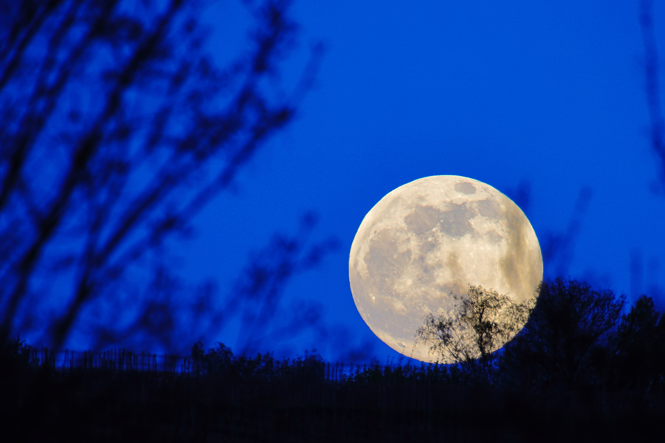 Supermond Aufgang am 26. April 2021 zur Blauen Stunde